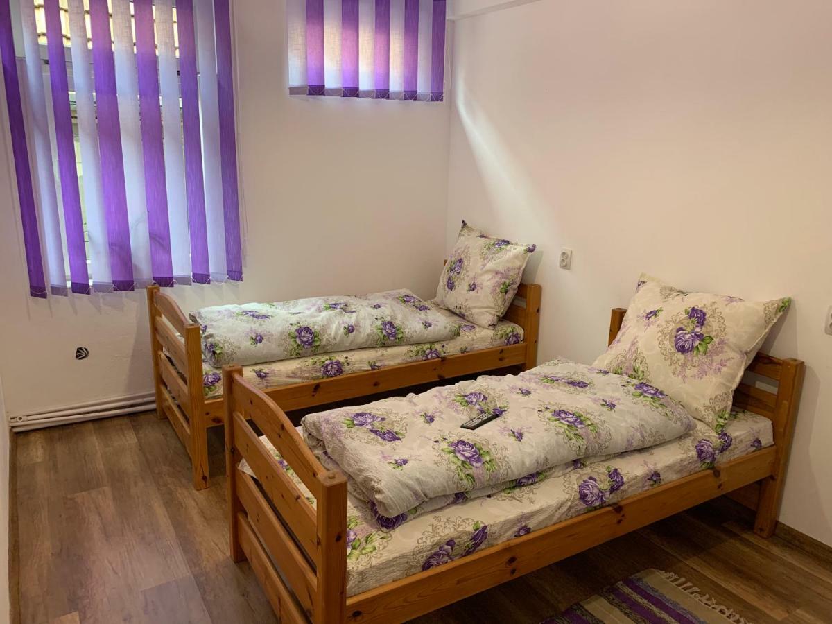Pensiunea Casa Maria Cluj-Napoca Ngoại thất bức ảnh